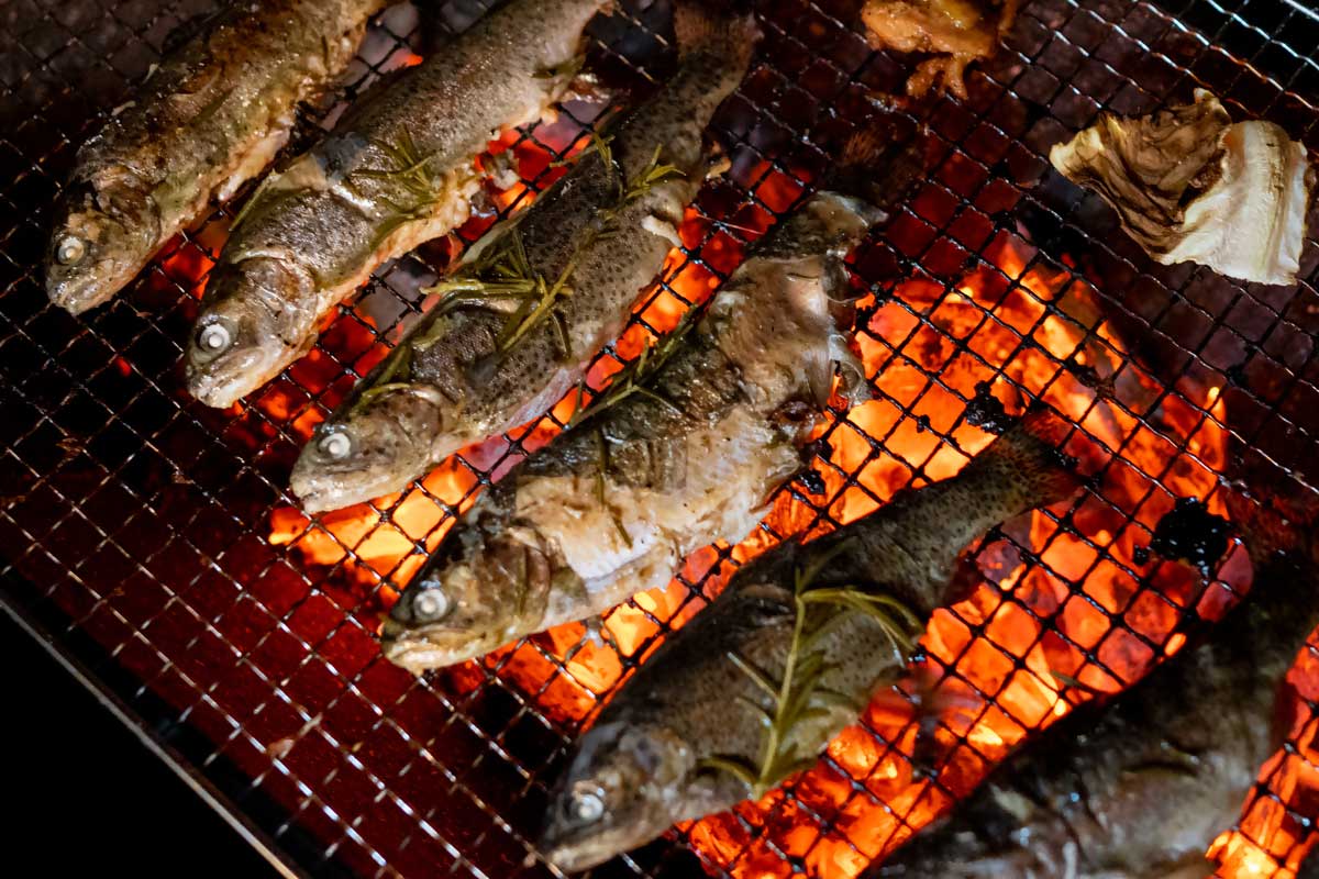 森林浴BBQ~ヒノキの足湯体験付き~